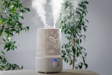 5+ Best Air Humidifiers In Australia (Reviews For 2024)