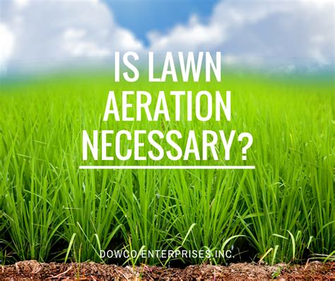 Is Lawn Aeration Necessary?