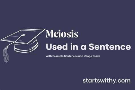 MEIOSIS in a Sentence Examples: 21 Ways to Use Meiosis