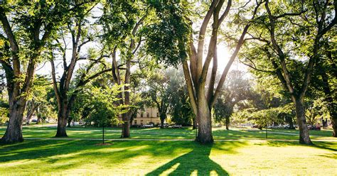 Colorado State University - Niche