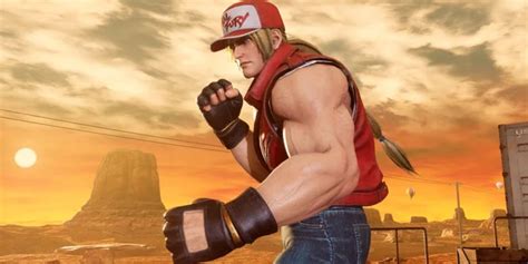 Smash Bros: Terry, the New Character, Explained | CBR