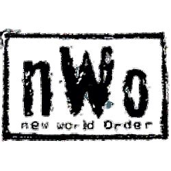 nWo transparent logo transparent PNG - StickPNG