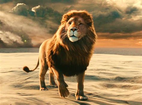 Aslan-Chronicles-of-Narnia // I want an Aslan tattoo! | Loves | Pinterest | Narnia and Tattoo