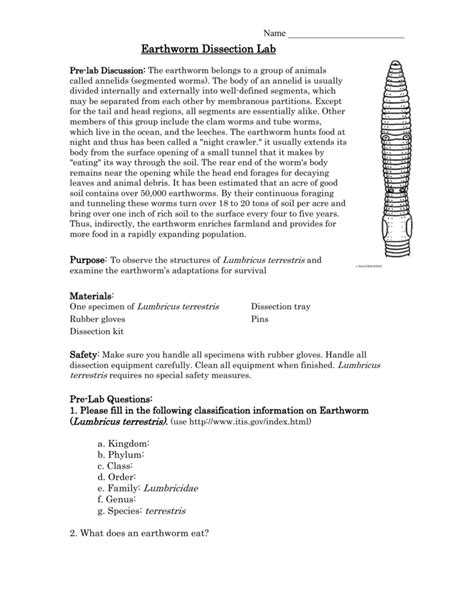 Earthworm Dissection Lab