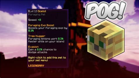 Good Pets Hypixel Skyblock Hypixel Skyblock Pets The New Pet Update In ...