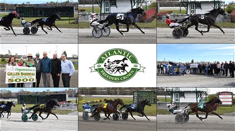 Milestone Moments On Atlantic Breeders Crown Day | Standardbred Canada