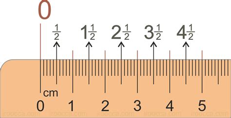 Centimeters On A Ruler | Images and Photos finder