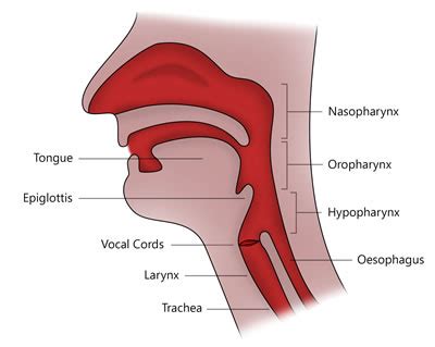 Airway obstruction in Children and Infants - First Aid for Free