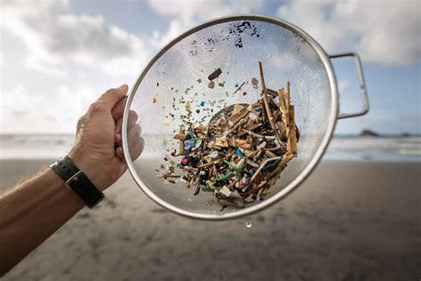 Microplastics and the environment | The ASEAN Post