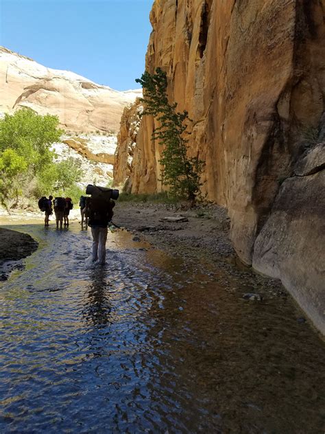 Escalante River - Hike and Horseback near Escalante, Utah - Free Arenas