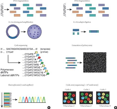 Figure 1 from Trends in Next-Generation Sequencing and a New Era for Whole Genome Sequencing ...