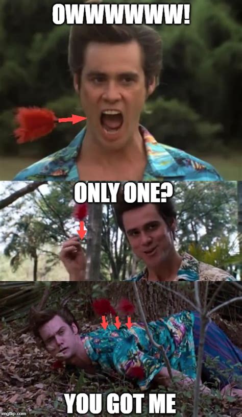 ace ventura Memes & GIFs - Imgflip