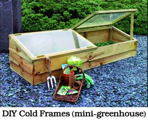 DIY Cold Frames (mini-greenhouse) - Lil Moo Creations