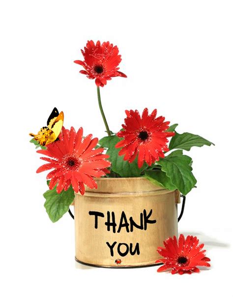 Decent Image Scraps: Thank You | Thank you flowers, Thankful, Thank you images