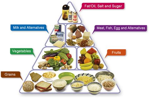The Food Pyramid – A Guide to a Balanced Diet - NUTRITION LINE