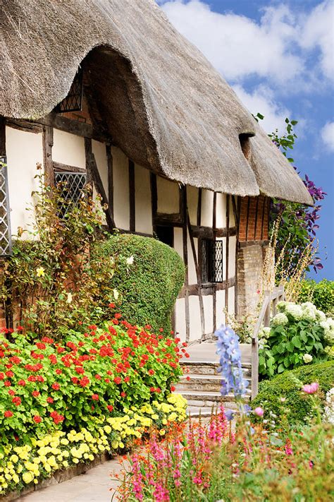 Summer cottage garden Photograph by Jo Ann Snover - Fine Art America