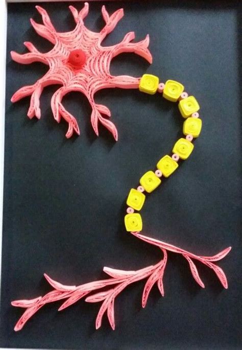 nerve cell | DIY & Crafts that I love | Pinterest | Craft