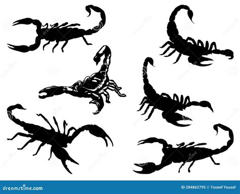 Set of Scorpion Silhouette Vector Art on a White Background Stock ...