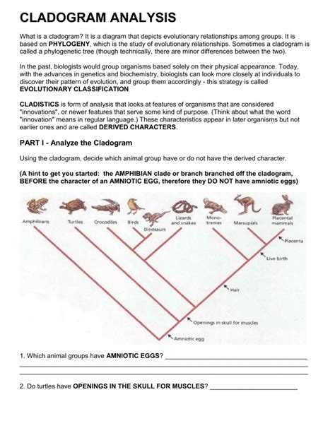 Cladogram Worksheet Answer Key - Sixteenth Streets