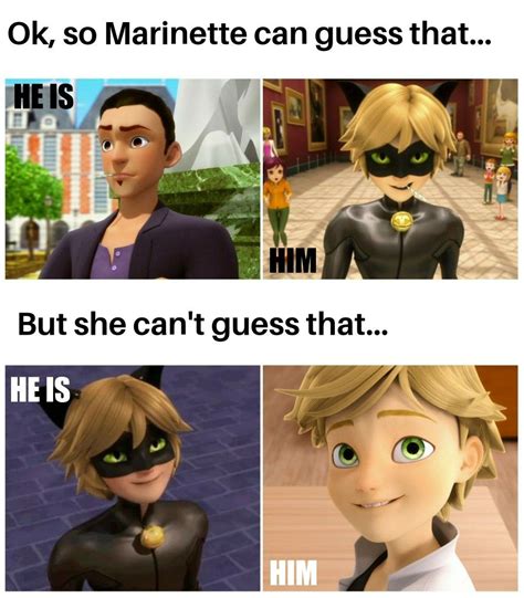 Because is very hard to guess who's the real Cat Noir... *sarcasm* | Miraculous ladybug memes ...