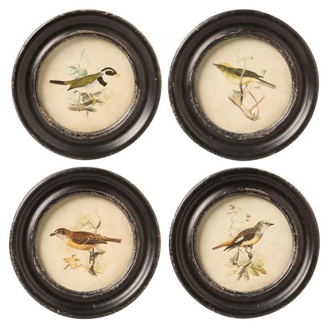 Framed Vintage Birds Prints - Set of 4 | Signals