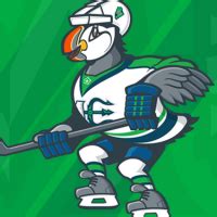 Beacon the Puffin Introduced as Maine Mariners Mascot – SportsLogos.Net News