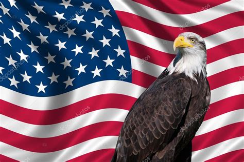 Usa flag bald eagle | USA Flag with bald eagle — Stock Photo ...