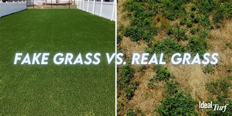 Fake Grass vs. Real Grass: Head-To-Head Comparison Guide