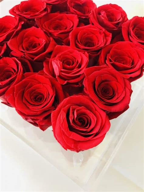 Forever Roses 16 Stem Box - Mesmerize Kenya