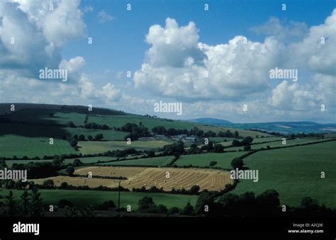 Wheat fields in County Wicklow Ireland Stock Photo - Alamy