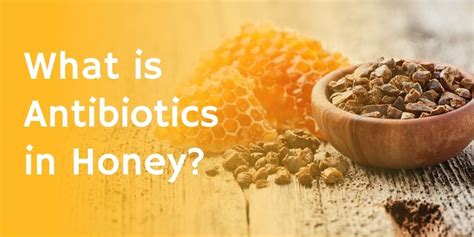 Antibiotic Residues in Honey: Causes, Impacts, and Regulatory parameters | Bharat Honey