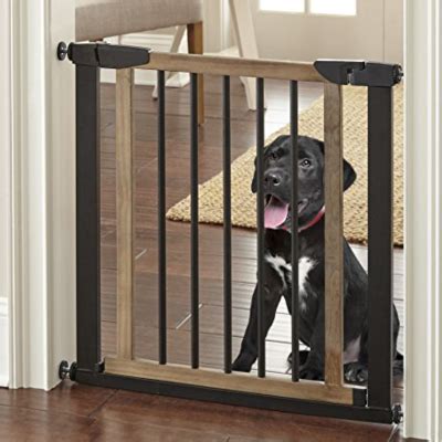 7 Best Indoor Dog Gates for Stairs, Doorway & Wide Openings