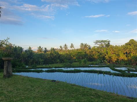 Yoga retreat in Ubud, Bali - Cross Cultural Couple