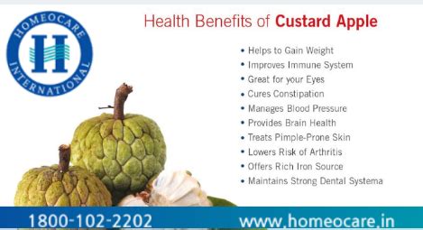 Health Benefits of Custard apple | Health benefits, Healthy diet tips, Improve immune system