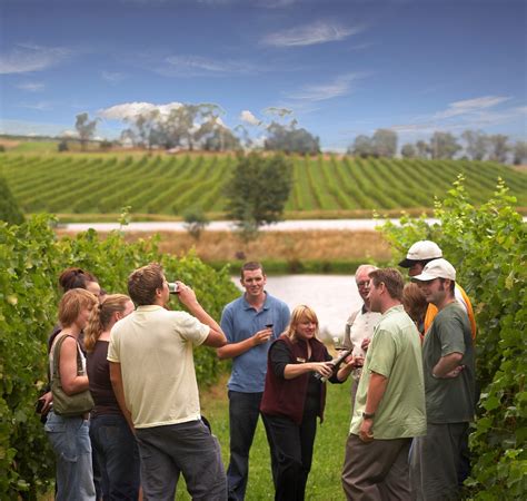 Corporate & Social Days - Australian Wine Tour Co.