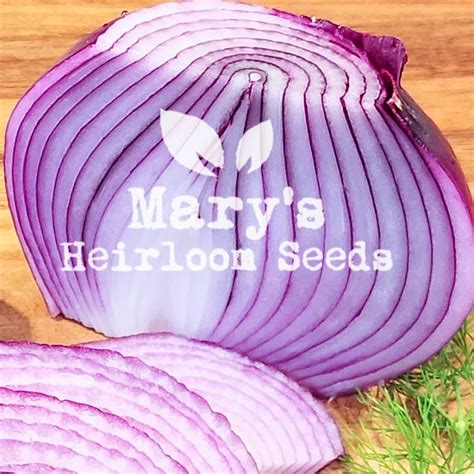 Pickled Onion Recipe - Water Bath Canned – Mary's Heirloom Seeds