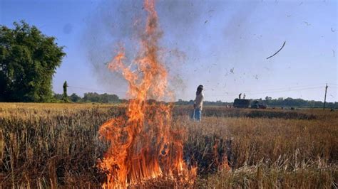 'Demanded Water, Not Smoke...': Haryana Minister Slams Punjab Govt Over Stubble Burning; AAP ...