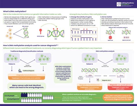 DNA Methylation Analysis: Paving the Way to a Cure – Making Headway