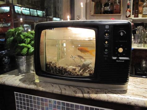 Fish-tank TV in a London pub | I thought that this was the n… | Flickr