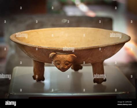 Mayan plate with jaguar head, from the Dzibilchaltun museum, Yucatan, Mexico Stock Photo - Alamy