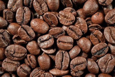 11 Best Coffee Beans in The World - Reviews & Top Picks 2023 | Coffee ...