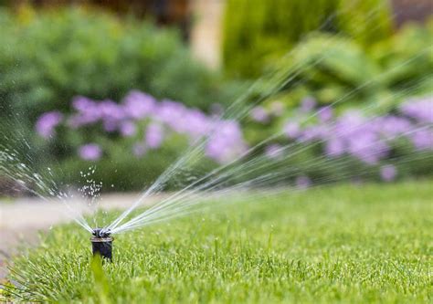 How Sprinkler System Zones Work | Best Pick Reports