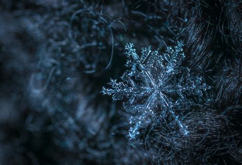 Macro Photography of Snowflake · Free Stock Photo