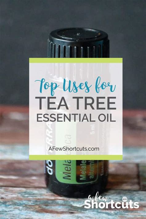 Top Uses for Tea Tree Essential Oil - A Few Shortcuts