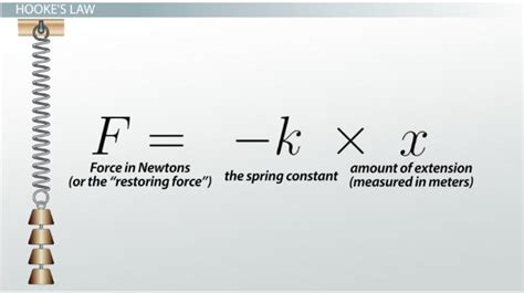 Hooke's Law & The Spring Constant | Spring Constant Units & Formula ...