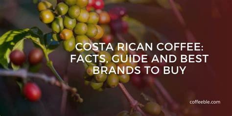 Costa Rican Coffee: Facts, Guide and Best Brands to Buy