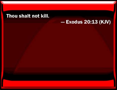 Exodus 20:13 You shall not kill.