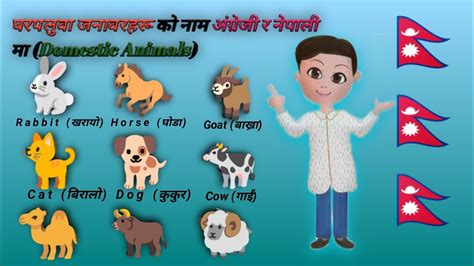 Domestic animals name in Nepali and English||घर पालुव जानवरहरु काे नाम |animals name in Nepali ...