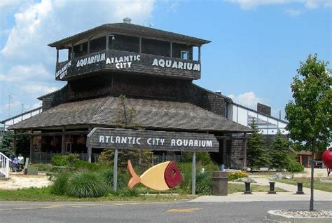 Atlantic City Aquarium Historic Gardner's Basin - All You Need to Know ...