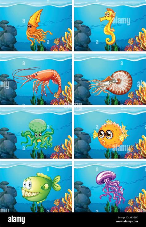 Scenes with sea animals under the sea illustration Stock Vector Image & Art - Alamy